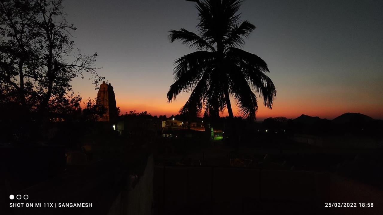 Temple View Guest House ハンピ エクステリア 写真
