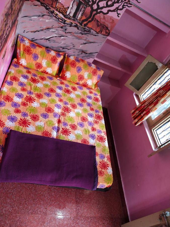 Temple View Guest House ハンピ エクステリア 写真