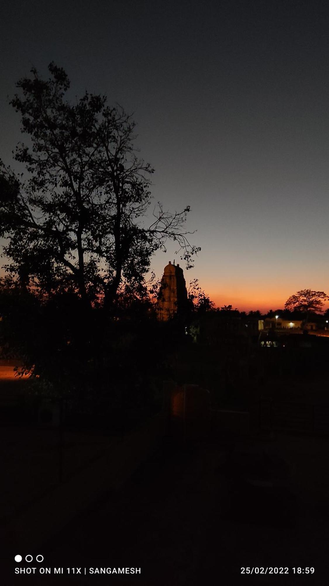 Temple View Guest House ハンピ エクステリア 写真